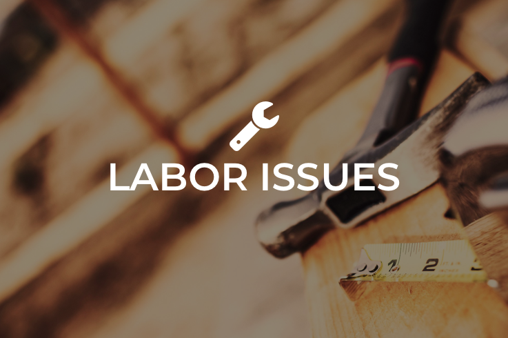 labor-issues-card.png