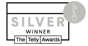 telly-silver