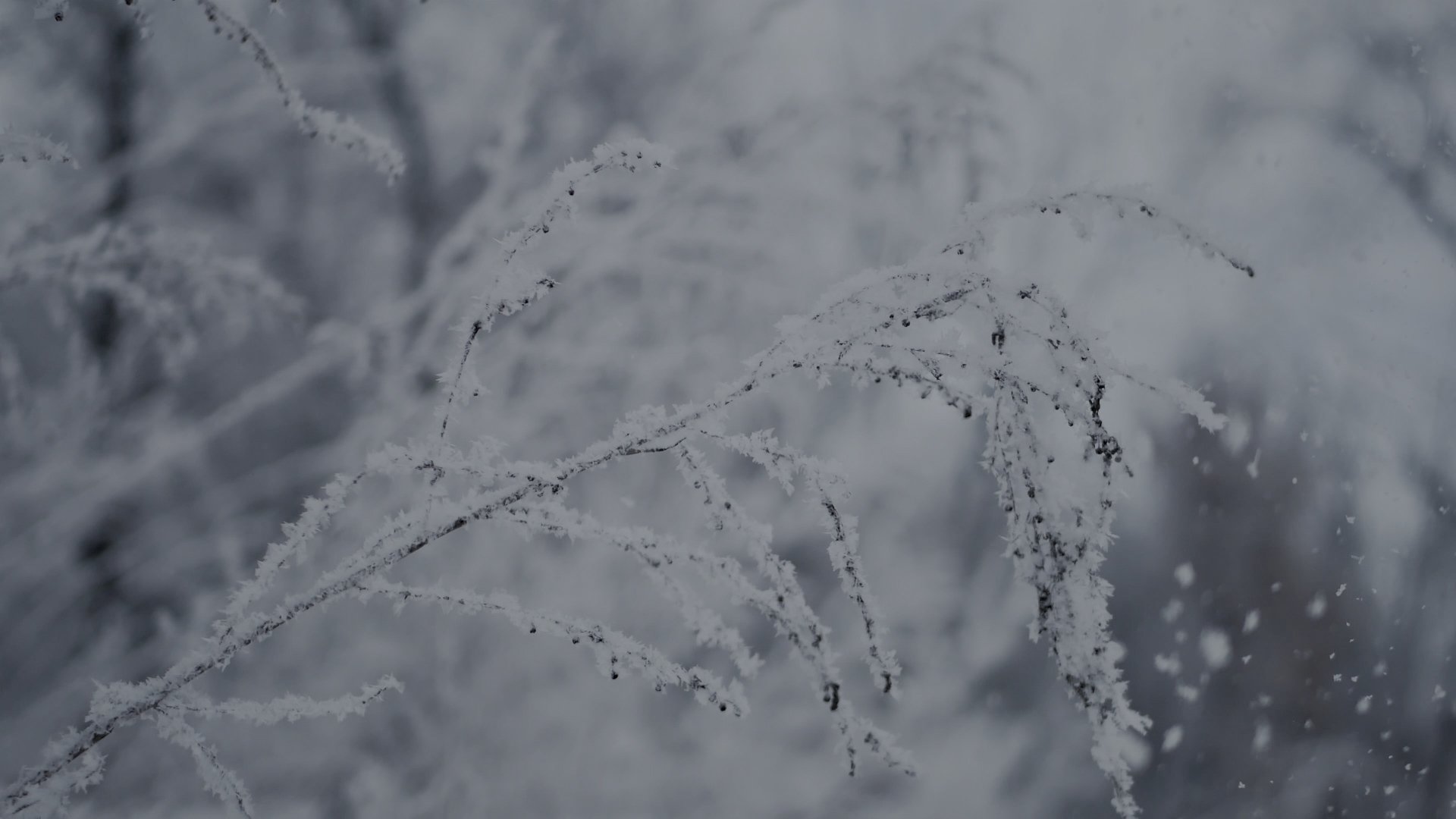 Labortools - 2019 Wrap Up .00_00_53_00.Still009